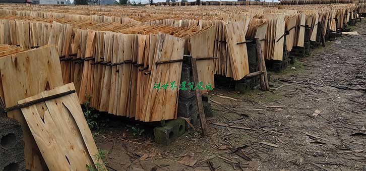 建筑模板單板曬地現狀