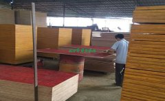 林世界建筑模板質量過硬，客戶付款才爽快