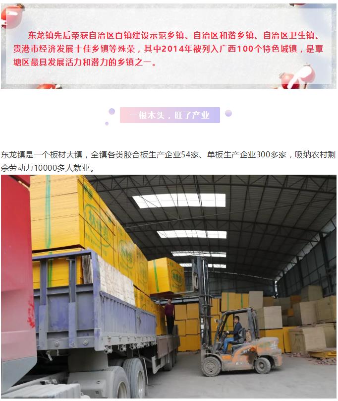 東龍鎮先后榮獲自治區百鎮建設示范鄉鎮