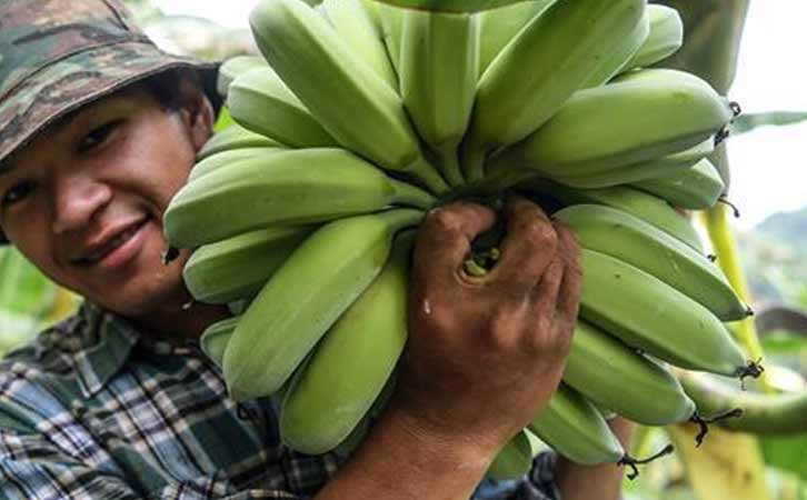 田林縣推進實施新型主體與貧困戶的利益聯結機制