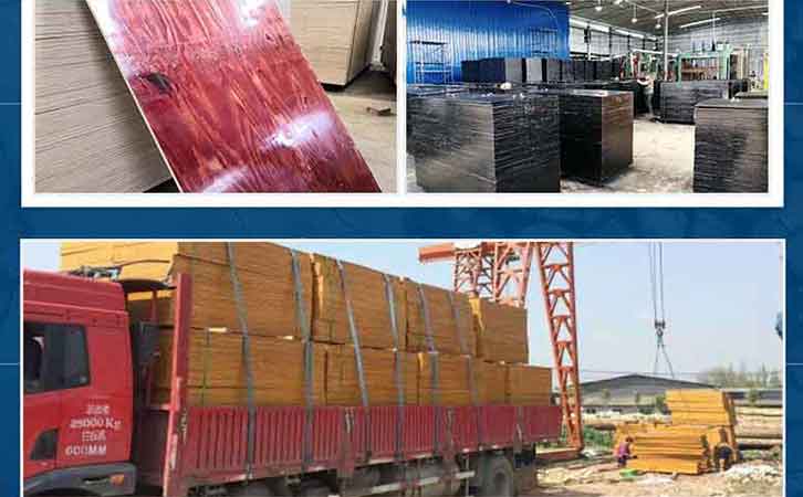 優質廠家推薦建筑模板廠家林世界木業